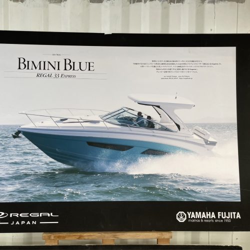 クルージング🚢